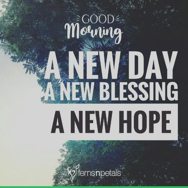 Network Marketing  India WhatsApp Group