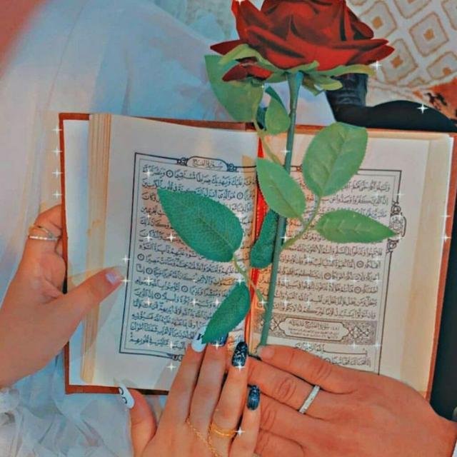 💢(علم و ادب📚) 💢 WhatsApp Group