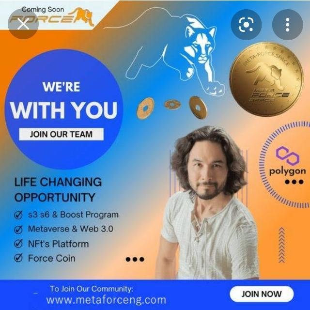 💝💝 META FORCE ONLINE EARNING💝💝 WhatsApp Group