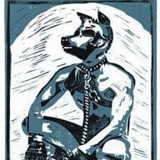 PupPlay Colombia WhatsApp Group
