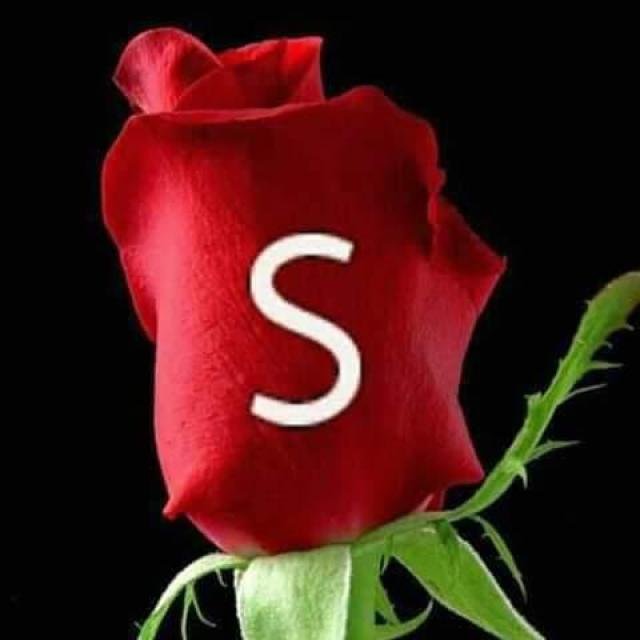 Funny video WhatsApp Group