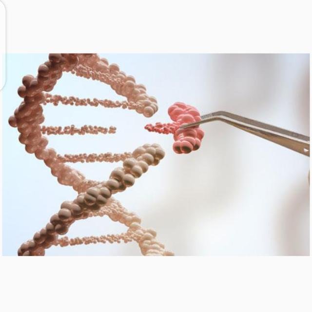Biotechnology chat group WhatsApp Group