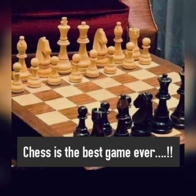 CHESS WhatsApp Group