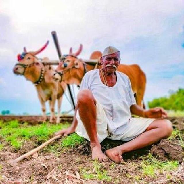 𝗥𝗼𝘆𝗮𝗹_शेतकरी 👑 WhatsApp Group