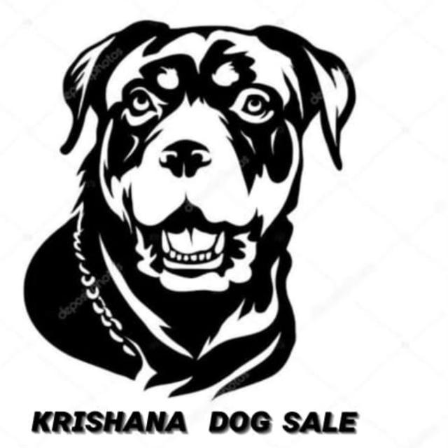 Krishan kenn🐶🐶 WhatsApp Group