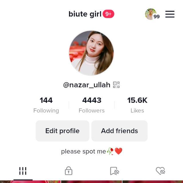 Tiktok account saler WhatsApp Group