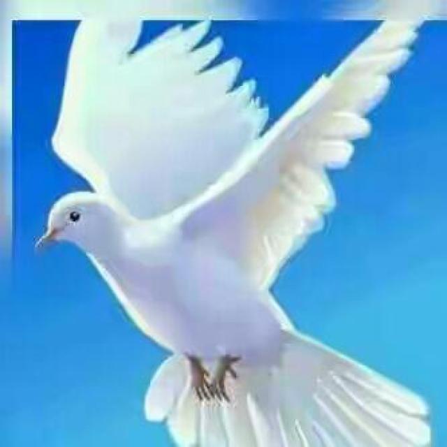 Good life, Good family! WhatsApp Group