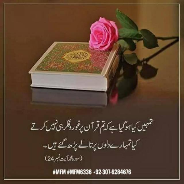 Humanity ❤️ WhatsApp Group