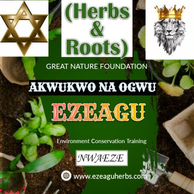 EZEAGU 🤴 Herbs & Roots🌿🌳🌾 WhatsApp Group