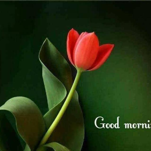 Educational Info-1 WhatsApp Group Link