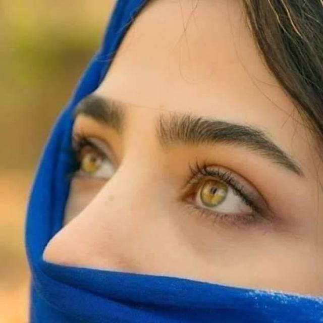 شاعری تیرے عشق کی😥 WhatsApp Group