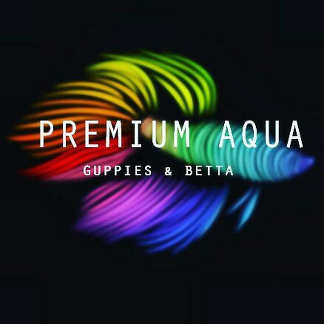 PREMIUM AQUA WhatsApp Group Link