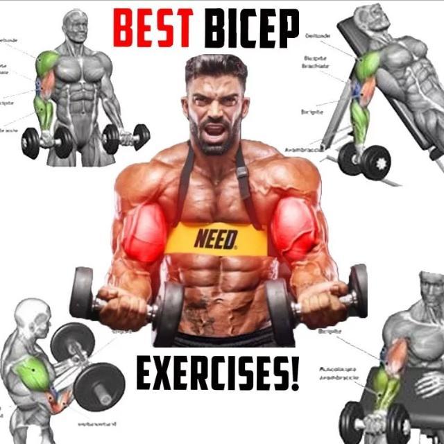 Bodybuilding Tips 😎 WhatsApp Group