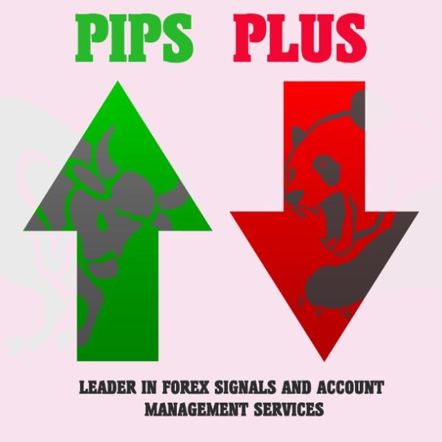 PIPS PLUS WhatsApp Group Link
