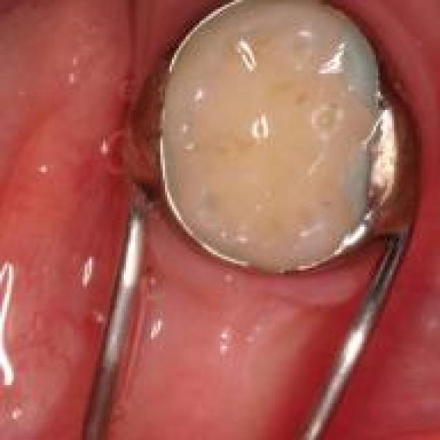 Online Dentist WhatsApp Group