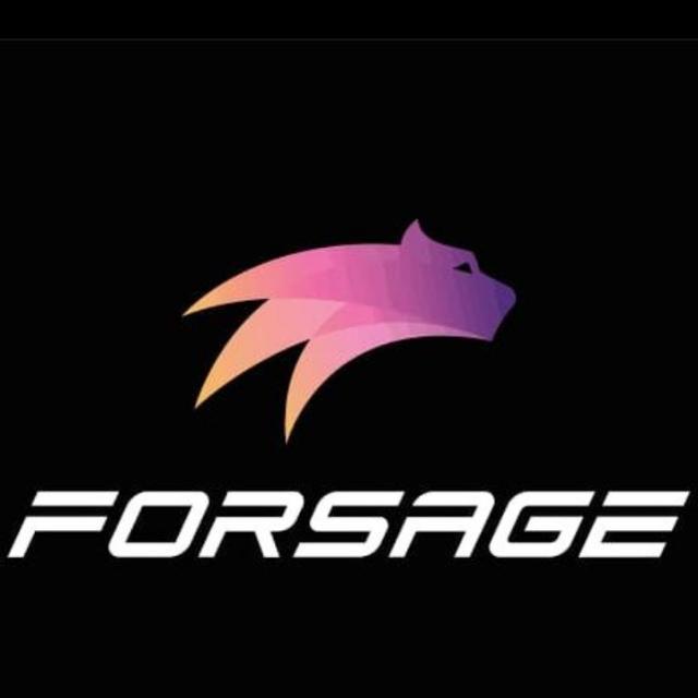 Join Forsage and change your life WhatsApp Group Link